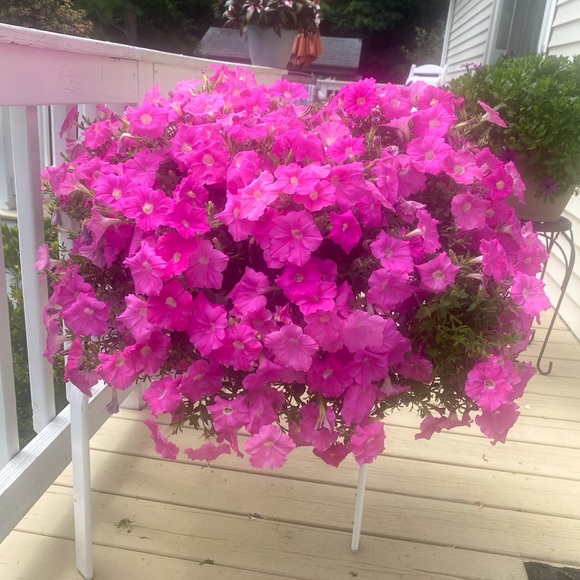 Womens Jewelry and Accessories Boutique - Picture 14 of 16